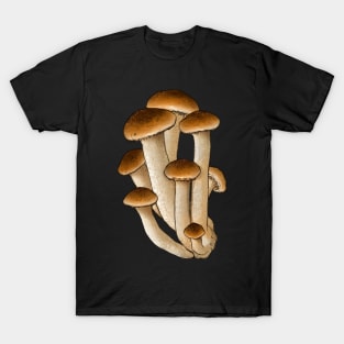 Armillaria T-Shirt